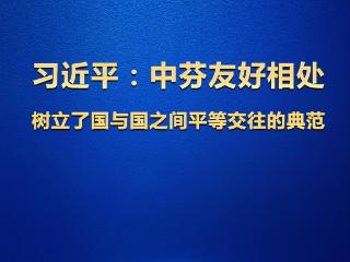 学习观 | 习近平：中芬友好相处 树立了国与国之间平等交往的典范