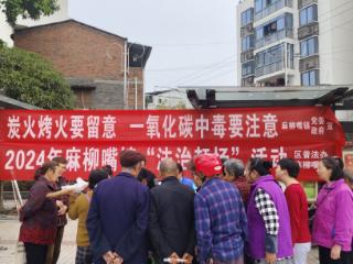 重庆巴南区：开展防范一氧化碳中毒科普宣传 筑牢群众生命安全防线