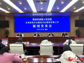 陕西高院发布《陕西省非法集资犯罪案件审判白皮书》