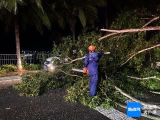 暴雨致树木倒伏堵塞道路 五指山消防清障恢复交通