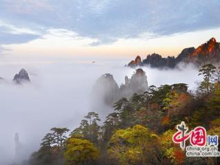 只有一个黄山：用镜头记录下云雾飘渺的秋天