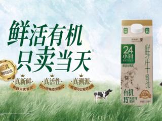 新乳业三季报扣非净利大增近30%，五年战略持续兑现