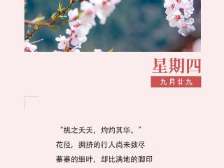 作家日签 | 汪剑钊：桃花将我一把扯进了春天