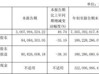 滨化股份终止不超14亿元定增 Q3净利降35%