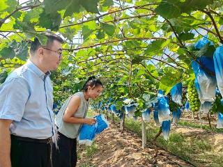 沂水农商银行助力绘就乡村振兴新画卷