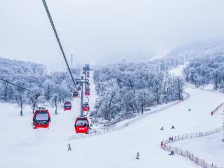 双11冰雪旅游囤完就约 飞猪部分滑雪套餐预约率已近半