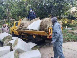 南山公园备足羊草 确保动物园动物安全过冬