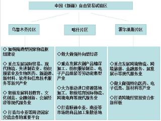 中国发布丨向新而行 “数”览新疆自贸试验区成立这一年-中国网