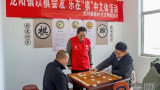 滕州市龙阳镇开展“以棋会友 乐在‘棋’中”文体活动