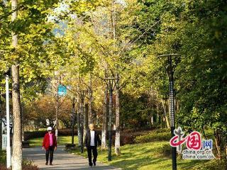 张家界：深秋的索溪峪旅游度假区 给你“好看”