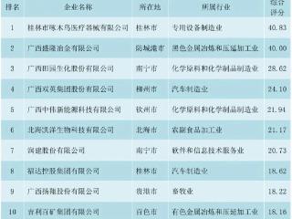 2024广西民营企业就业10强榜单发布