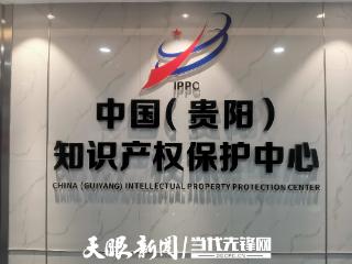 贵州省海外知识产权纠纷应对指导工作指南发布