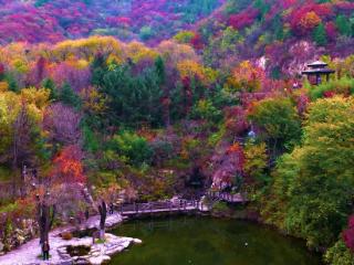 深秋九如山红叶满山，阳光下灿若云霞