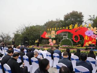 双龙迎福、海豚踏浪……快来打卡南山植物园“菊展”