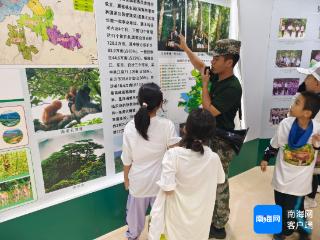 学生化身“森林警察” 探秘海南霸王岭热带雨林