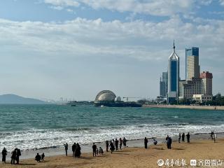 11月4日凌晨起青岛大风降温登场，北部地区将出现初霜冻