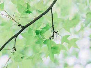 背叛者，像雾像雨又像风！就是“不像”人！3点人性要看清