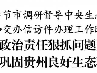 李炳军在毕节市调研督导中央生态环保督察整改和交办信访件办理工作