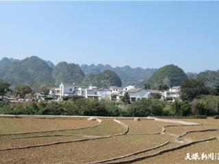 念好“土地经” 绘好“田字格” 打好“特色牌”——兴义市上纳灰村党建引航融出“农文旅”发展新路