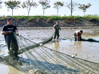 田有祥：做给别人看带着别人干 争当水产养殖产业带头人