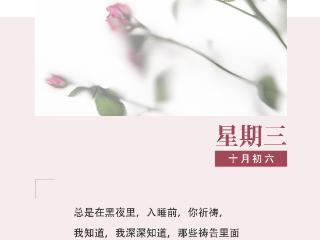 作家日签 | 袁永苹：你在我们的旁边完成着祷告