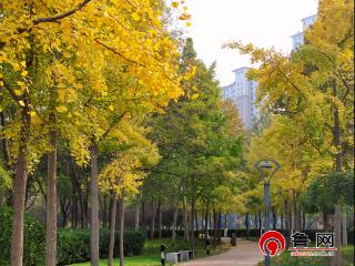 德州长河公园：深秋季节里浪漫的景色