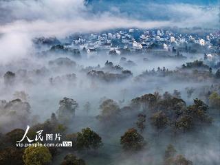 安徽黄山：乡村晨景如画