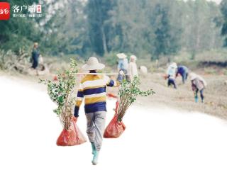 儋州市老市村盐田恢复及湿地生态保护修复案例入选全国这个案例