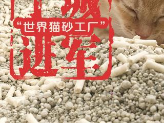 “城”势而上｜宁城进军“世界猫砂工厂”