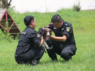 全国大赛获奖！警犬喜提鸡腿和“专属假期”