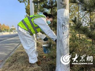 牟平公路：做好冬季养护 为行道树“穿衣”