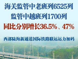 6525+1700列！西部陆海新通道国际铁路联运运力加码