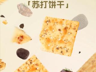 酥脆停不下来：大耳牛黑松露牛排苏打饼干110gx5袋到手16.9元