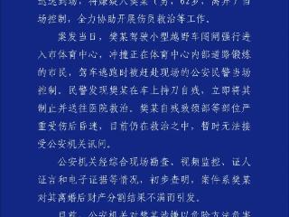 珠海11日晚发生驾车冲撞市民重大恶性案件：35人死亡 43人受伤