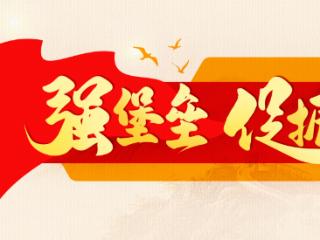 【乡村行·看振兴】从党员致富带头人到“职业经理人”