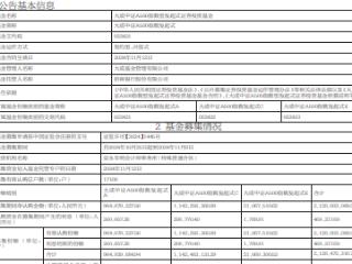 大成中证A500指数型发起式成立 规模21亿元