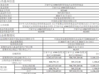 万家中证A500指数发起式成立 规模31.9亿元