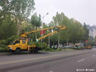 剪出新绿意！德州园林精心推进城市绿地透光、透景、透气工作