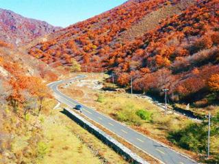 赤峰市松山区：擦亮生态底色 推动绿色发展