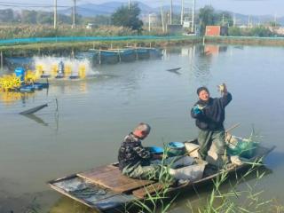 淮北市杜集区韩楼村：沉陷区里的“钳”袋子