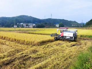 贵阳市：“排队抓尾”见真章 固本强基出实效