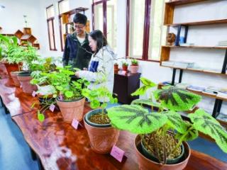 中山植物园举办珍稀濒危植物展