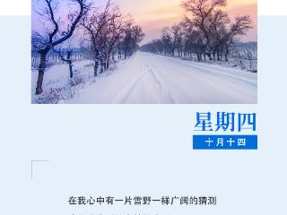 作家日签 | 桑克：这是我找到的奇妙的生活