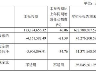 美邦股份拟终止发不超5.3亿可转债 为光大证券项目