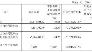 美邦股份拟终止发不超5.3亿可转债 为光大证券项目