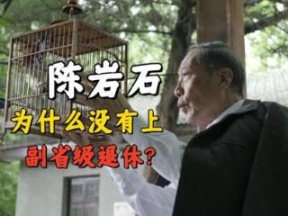 《人民的名义》为什么陈岩石没有上副省级？真不怪赵立春