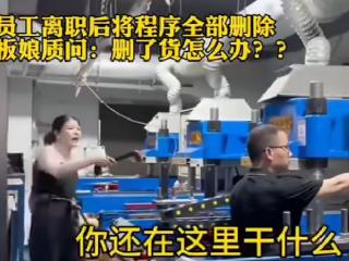 “法式”生活｜离职员工删除自编程序引热议，违法吗？