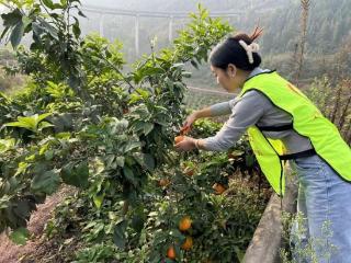 渝北古路镇“三聚焦”推动和美乡村建设