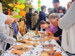 借一片红叶 塑造“爱上崂山”文旅名片 2024崂山红叶节暨“冬趣崂山”文旅休闲季正式启动