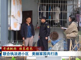 十堰联合执法进小区，美丽家园共打造